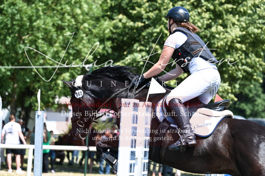 DSC_0412 | Pferde- und Turnierfotografie in Westsachsen. Pferdeportraits, Auftragszeichnungen und intuitive Kunst.