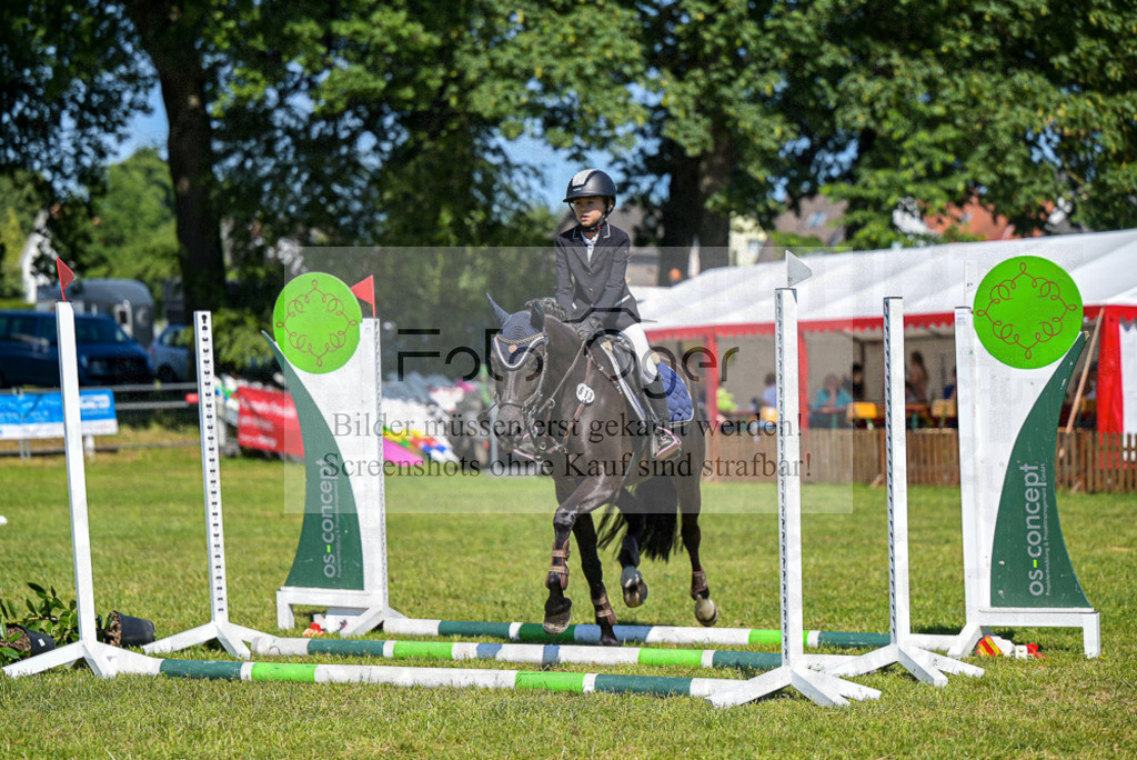 Reitturnier Voxtrup | Entdecke hochwertige Reitturnierfotos von Foto Oger. Professionell, emotional und authentisch – jetzt Lieblingsmomente im Shop bestellen.Deutschlandweite Turnierfotografie. - Realisiert mit Pictrs.com