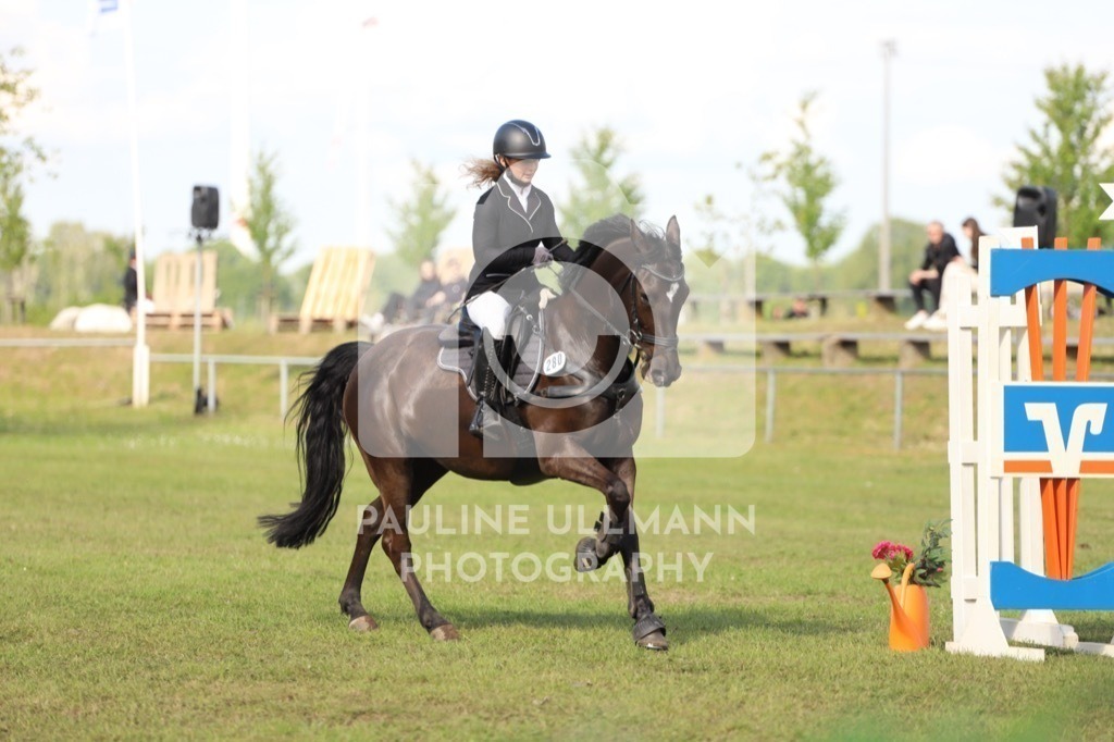 IMG_8219 | Pauline Ullmann Photography - Realisiert mit Pictrs.com