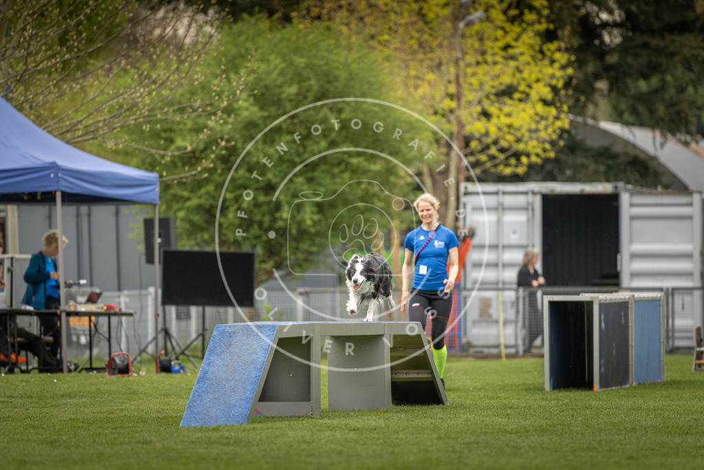 Pfotenfotografie_DV3A8784 | Hundefotografie, Tierfotograf, Pfotenfotografie, Fotoshooting Hund, Hunde Portrait, Hundesport, Hundeportraits, Heideshooting, Hunde, Sportfotograf, Hundefotograf, Turnierhundsport, THS,  - Realisiert mit Pictrs.com