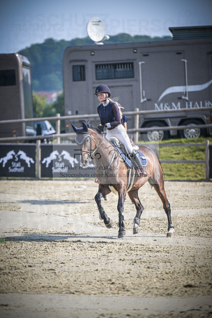 DOS_0146 | Entdecke hochwertige Reitturnierfotos von Foto Oger. Professionell, emotional und authentisch – jetzt Lieblingsmomente im Shop bestellen.Deutschlandweite Turnierfotografie. - Realisiert mit Pictrs.com