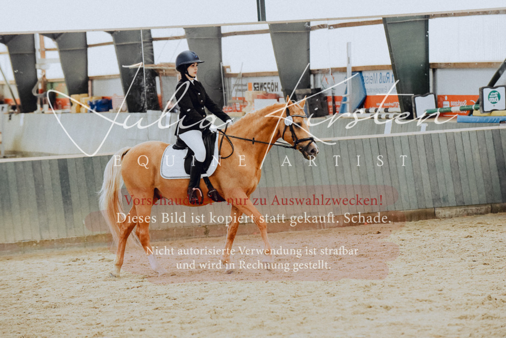 DSC_7246 | Pferde- und Turnierfotografie in Westsachsen. Pferdeportraits, Auftragszeichnungen und intuitive Kunst.