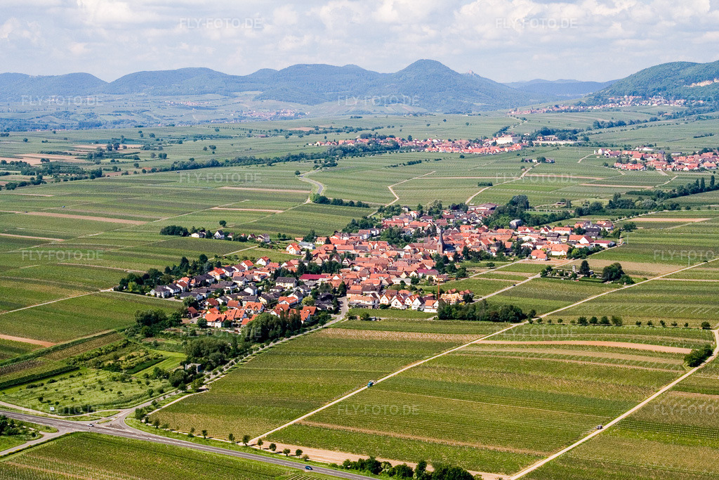 Luftbild: Weinbergen in Roschbach im Bundesland Rheinland-Pfalz in Deutschland. Foto: IMG_2201.jpg vom 03.06.2006 durch Werner Riehm/FLY-FOTO.de