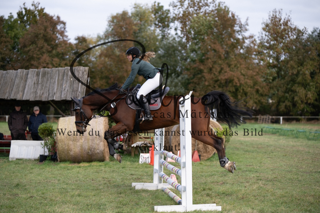 A7V06501 | Pferdefotograf