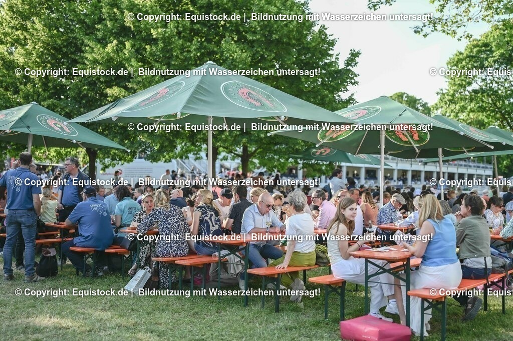 D78_3790 | equistock