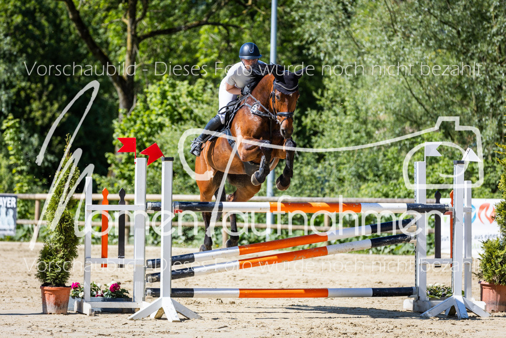 Donop24-M-Spr-071 | MomenTaufnahmen Pferdesportfotos