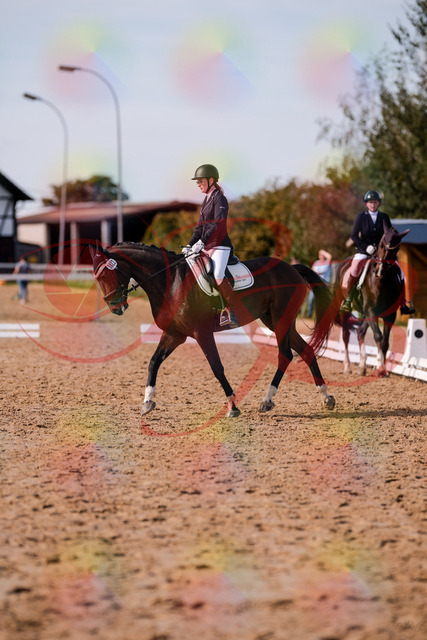 2026_10_03_Siefer-Hof_132603_Z81_78610002 | Professionelle Reitsport-, Turnier- und Eventfotografie von Robert Broda. Galerien mit ausgewählten und bearbeiteten Bildern direkt online ansehen und bestellen.