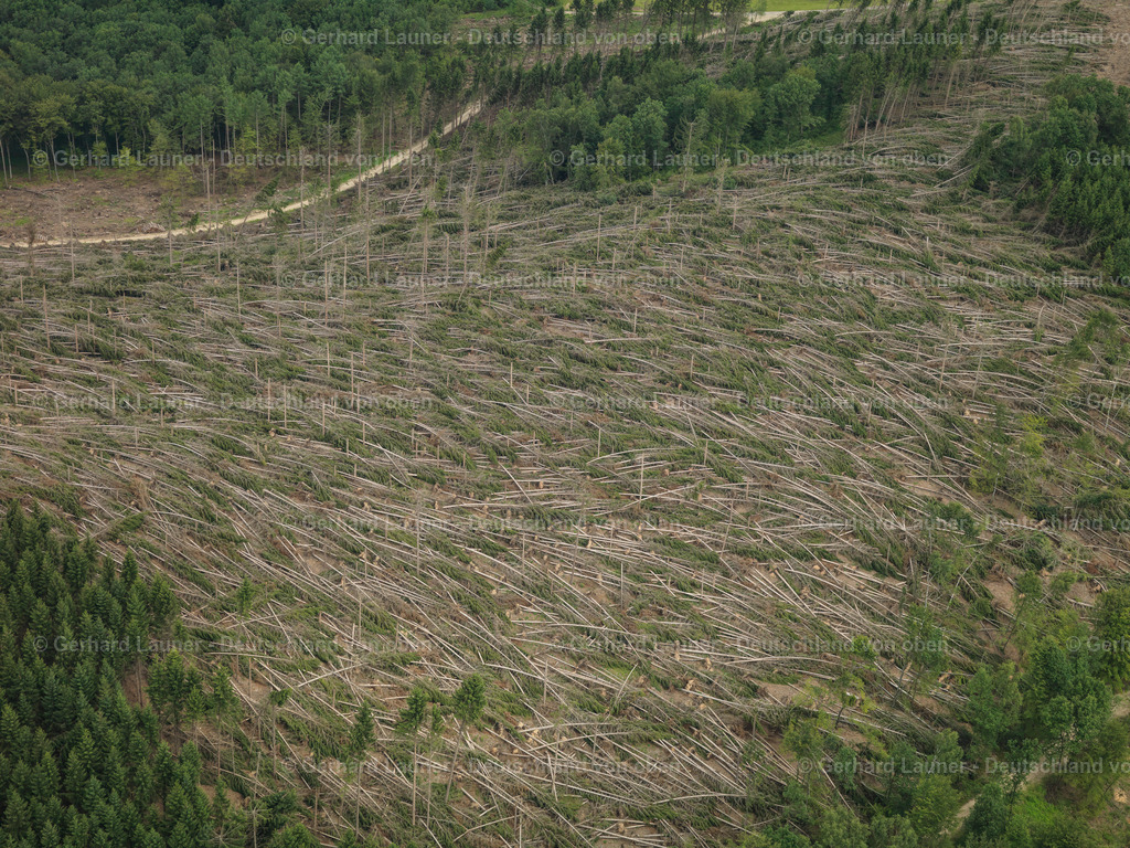2712054 | Waldschäden durch den Orkan Kyrill bei Attendorn