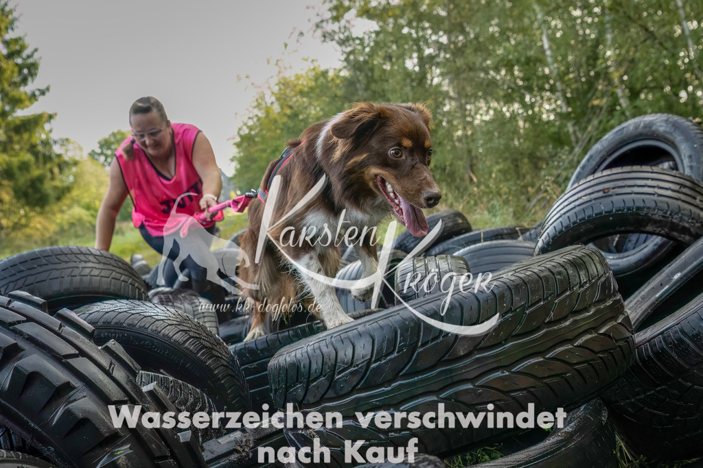 1034_ZZ94833-Bearbeitet-2 | kk-dogfotos