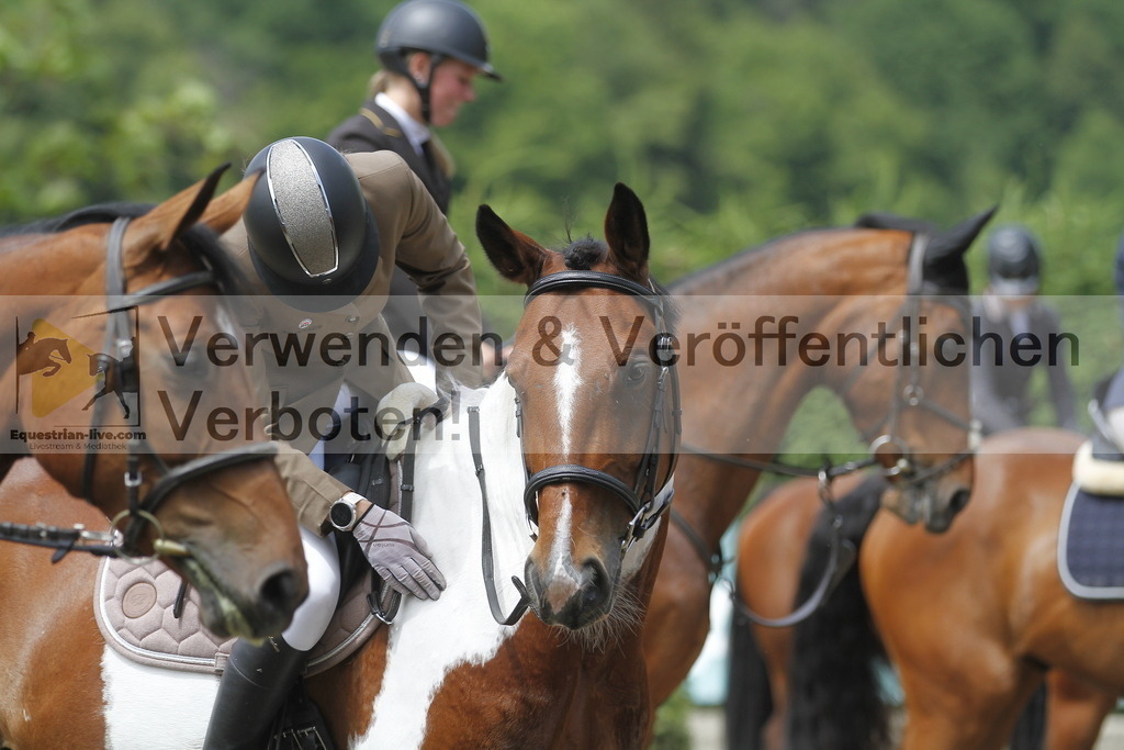 _MG_4527 | equestrian-live-com