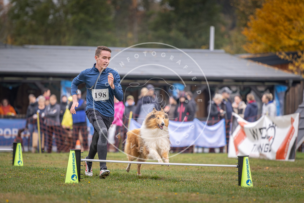 Pfotenfotografie_DV3A0777 | Hundefotografie, Tierfotograf, Pfotenfotografie, Fotoshooting Hund, Hunde Portrait, Hundesport, Hundeportraits, Heideshooting, Hunde, Sportfotograf, Hundefotograf, Turnierhundsport, THS,  - Realisiert mit Pictrs.com