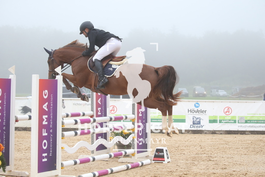 DL2Q2984 | Willkommen bei Brunnmayr - Design & Fotografie – Ihrem Spezialisten für Reitturniere und Pferdeveranstaltungen in Oberösterreich, Salzburg und Bayern! Seit über 17 Jahren sind wir leidenschaftlich dabei.