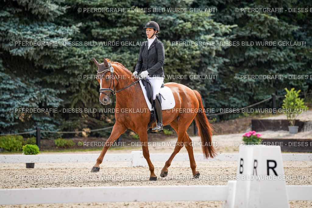 DSC08372 | Pferdegrafie