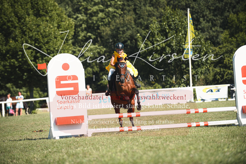 DSC_7522 | Pferde- und Turnierfotografie in Westsachsen. Pferdeportraits, Auftragszeichnungen und intuitive Kunst.