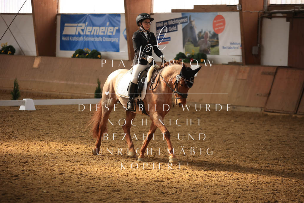 IMGT8278 | pl-fotografie