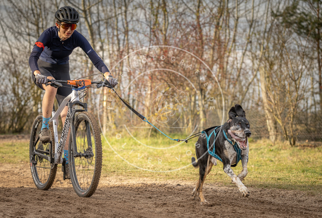 Pfotenfotografie_DV3A7397 | Hundefotografie, Tierfotograf, Pfotenfotografie, Fotoshooting Hund, Hunde Portrait, Hundesport, Hundeportraits, Heideshooting, Hunde, Sportfotograf, Hundefotograf, Turnierhundsport, THS,  - Realisiert mit Pictrs.com