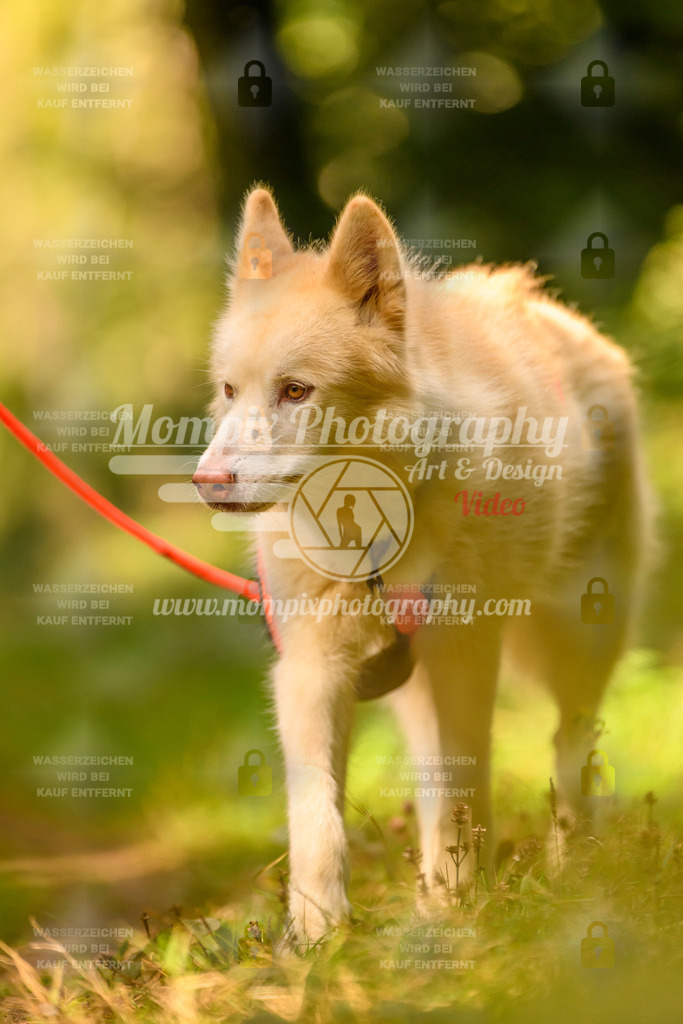 MompixPhotography_Yens2025_B3-4 | PayLife