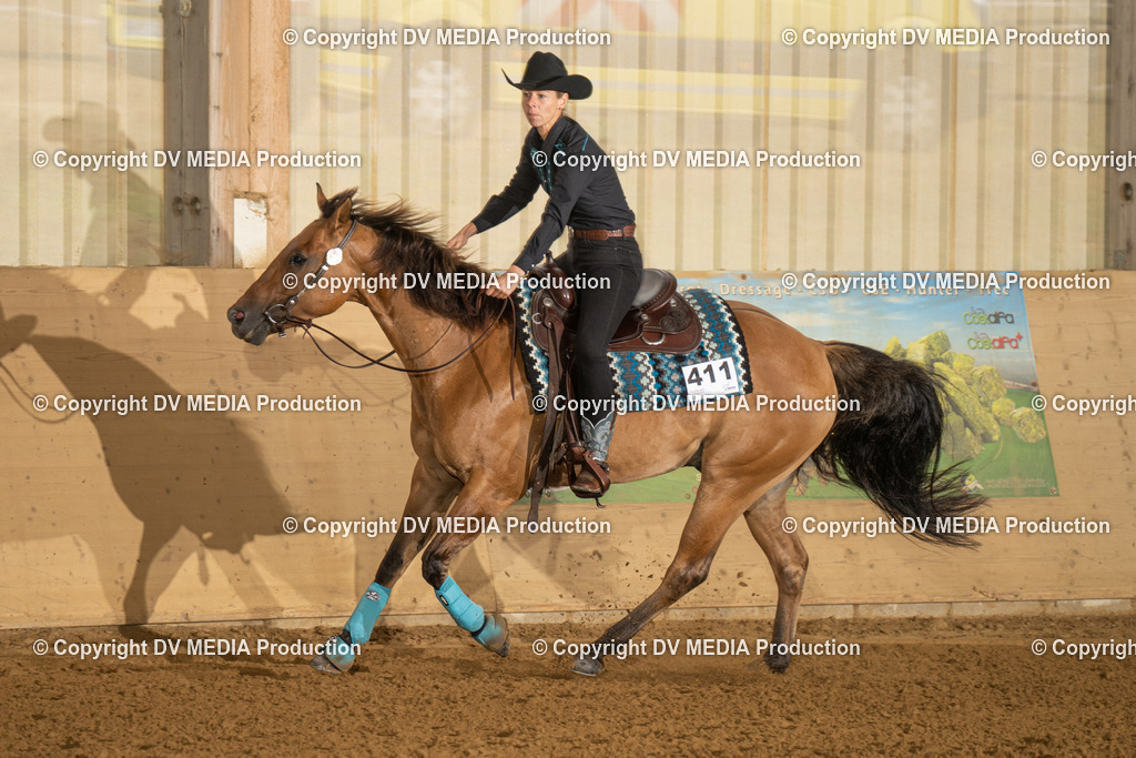 LAU00516 | dv-media-shop - Realisiert mit Pictrs.com