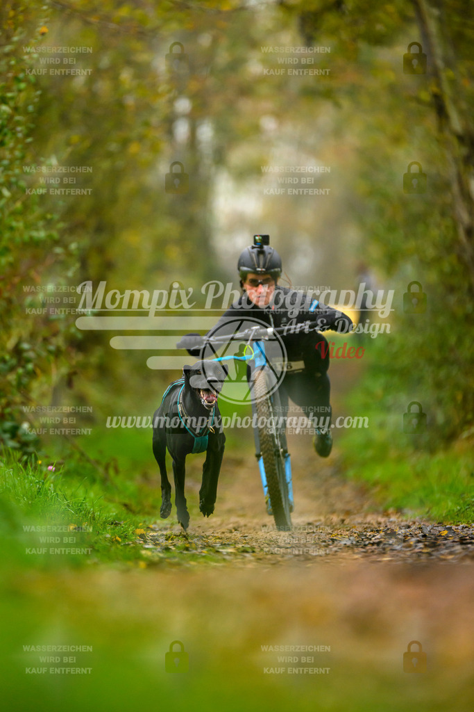 MompixPhotography_20TSB_E6_DS1-3 | PayLife