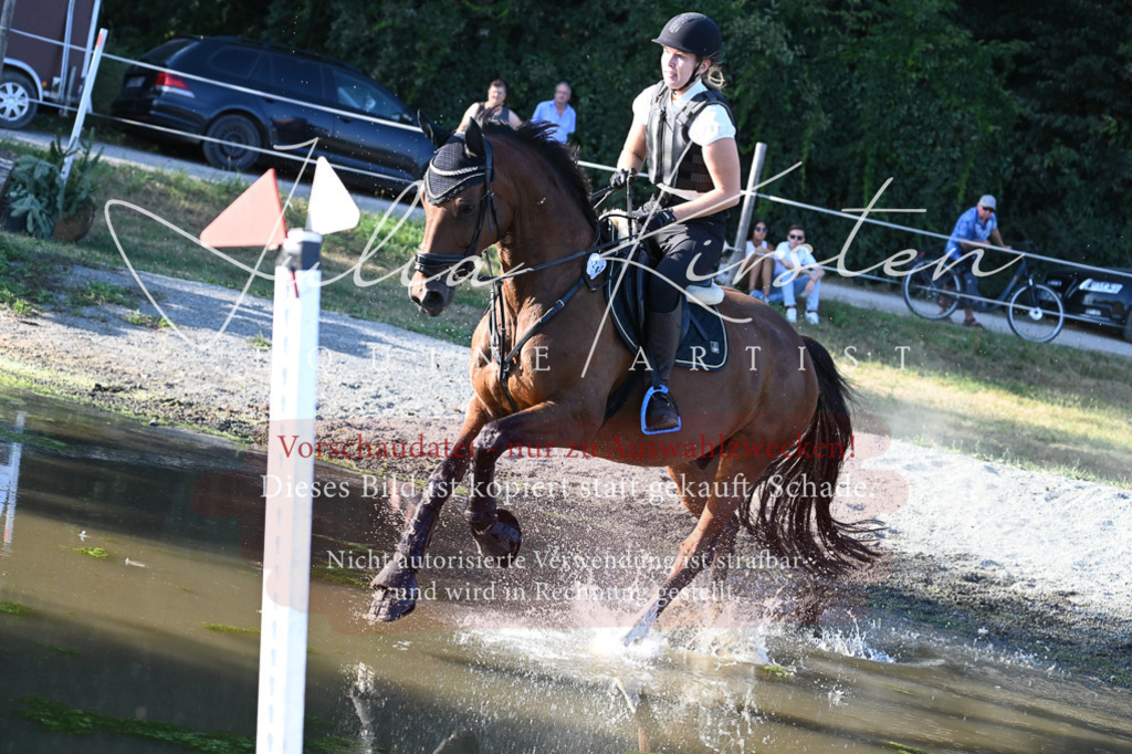 DSC_9017 | Pferde- und Turnierfotografie in Westsachsen. Pferdeportraits, Auftragszeichnungen und intuitive Kunst.