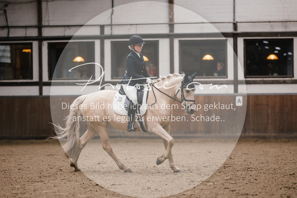 3I6A7181 | Stimmungsvolle Portraits und Reitsportfotografie im Ruhrgebiet und im Münsterland.

Pferdefotografie, Hundefotografie, Tierfotografie, Reportagen, Portraits von Tier und Mensch, Turnierfotografie in Bochum, Recklinghausen, Marl, Haltern am See, Dülmen.. - Realisiert mit Pictrs.com