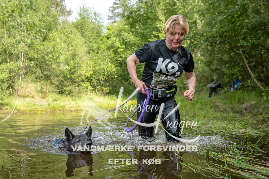 1020DKK991615 | kk-dogfotos