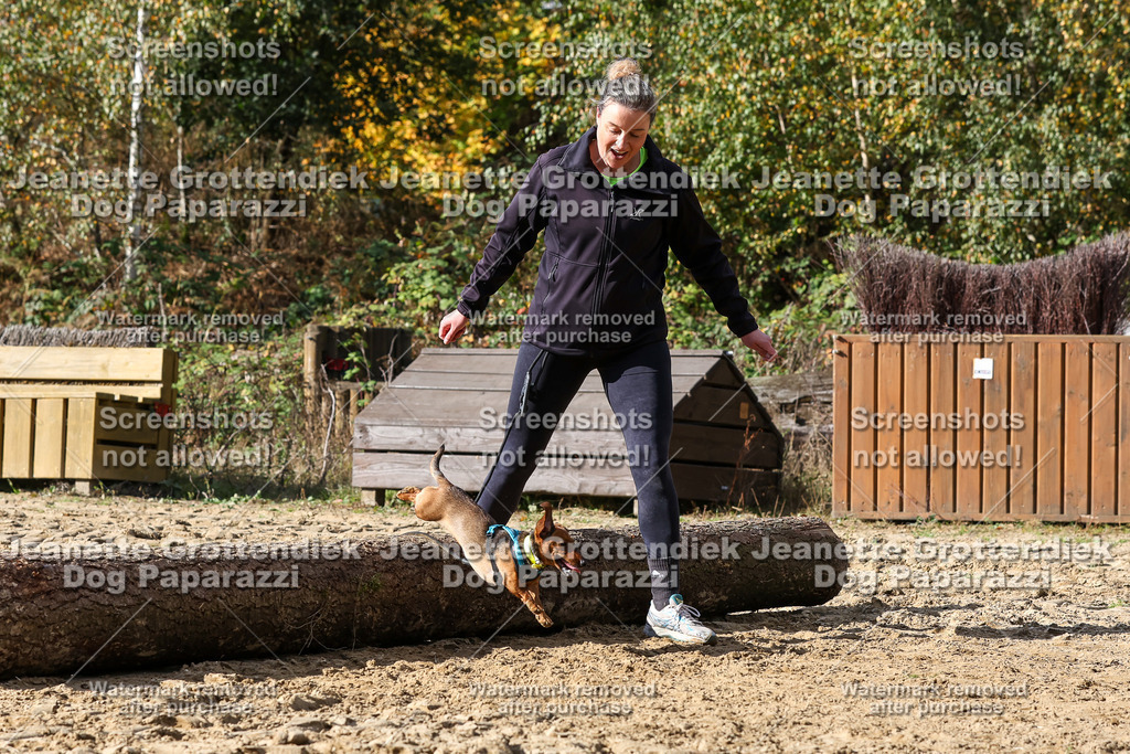 Dog Paparazzi - Strongdog 10-25-4972 | Dog Paparazzi Jeanette Grottendiek Fotografie & Videografie - Realisiert mit Pictrs.com