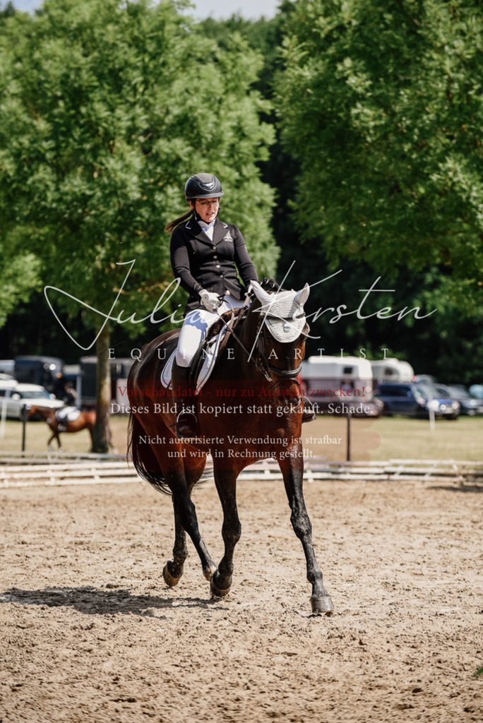 DSC_1064 | Pferde- und Turnierfotografie in Westsachsen. Pferdeportraits, Auftragszeichnungen und intuitive Kunst.