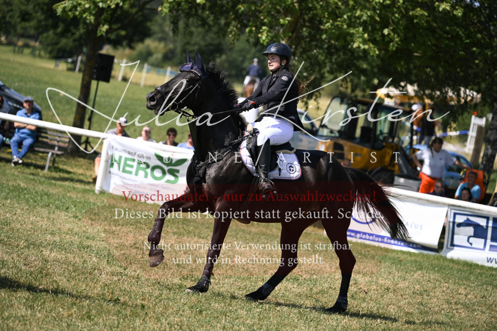 DSC_0498 | Pferde- und Turnierfotografie in Westsachsen. Pferdeportraits, Auftragszeichnungen und intuitive Kunst.