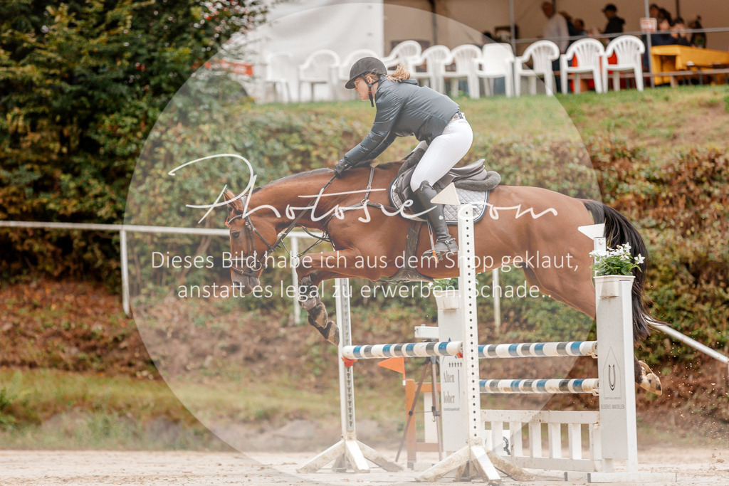 3I6A5851 | Stimmungsvolle Portraits und Reitsportfotografie im Ruhrgebiet und im Münsterland.

Pferdefotografie, Hundefotografie, Tierfotografie, Reportagen, Portraits von Tier und Mensch, Turnierfotografie in Bochum, Recklinghausen, Marl, Haltern am See, Dülmen.. - Realisiert mit Pictrs.com