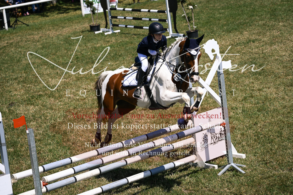 DSC_9952 | Pferde- und Turnierfotografie in Westsachsen. Pferdeportraits, Auftragszeichnungen und intuitive Kunst.