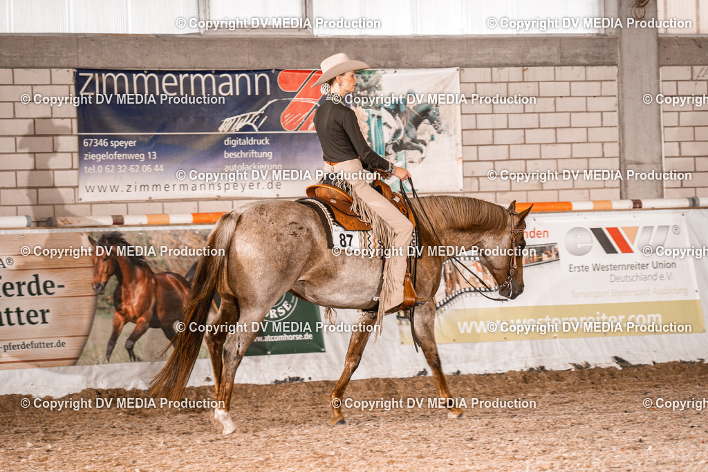 ZH100160 | dv-media-shop - Realisiert mit Pictrs.com