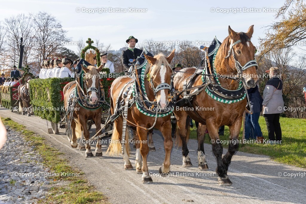 LBT24-1216 | foto-bettina-krinner - Realisiert mit Pictrs.com