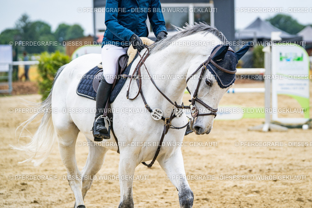 DSC09208 | Pferdegrafie