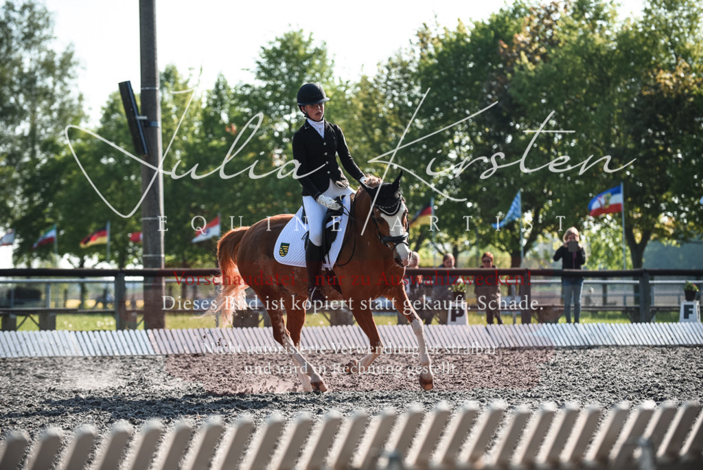 DSC_8255 | Pferde- und Turnierfotografie in Westsachsen. Pferdeportraits, Auftragszeichnungen und intuitive Kunst.