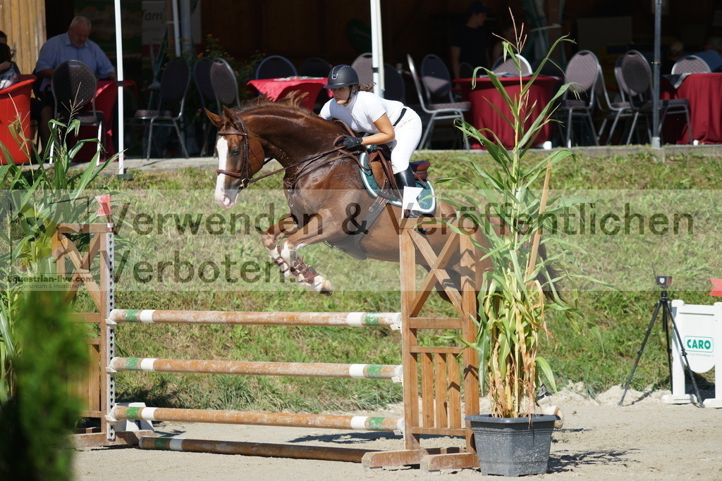 DSC02380 | equestrian-live-com
