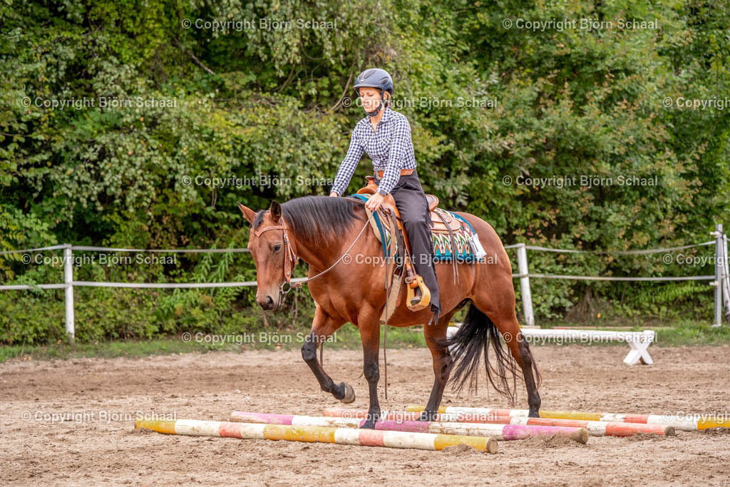 SAL03584 | BS-foto