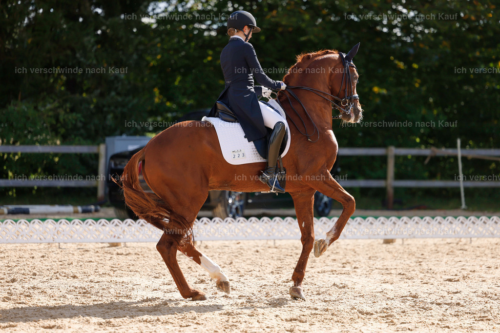 09_2-223-DRESSUR  S_  -StoibPH-5798 | working equitationturnier fotograf videograf stoibphotography marixx film working equitation deutschland reitsport turnierfotografie eventfotografie equestrian events