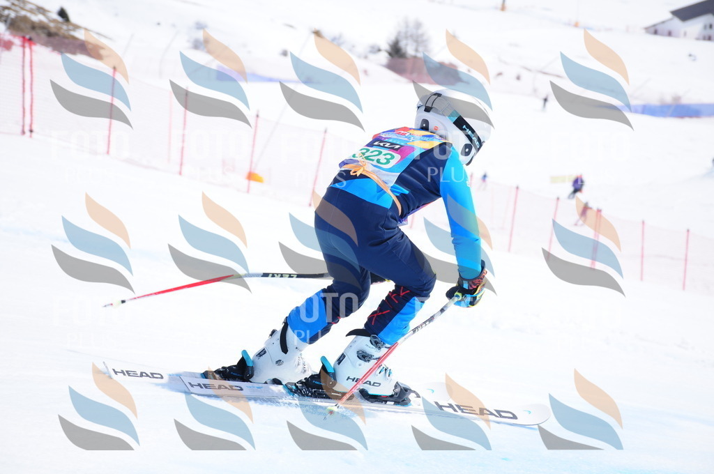 DSC_3117 | holidayphoto