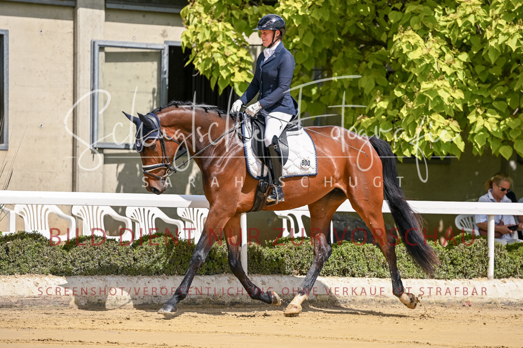 Schugtsche-Aluta25-48.Reitpferfdeprf.-15 | Schugtsche Fotografie - Realisiert mit Pictrs.com