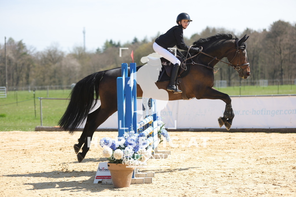 0P6A9800 | Willkommen bei Brunnmayr - Design & Fotografie – Ihrem Spezialisten für Reitturniere und Pferdeveranstaltungen in Oberösterreich, Salzburg und Bayern! Seit über 17 Jahren sind wir leidenschaftlich dabei.