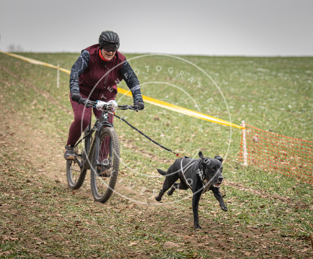 Pfotenfotografie_DV3A2918 | Hundefotografie, Tierfotograf, Pfotenfotografie, Fotoshooting Hund, Hunde Portrait, Hundesport, Hundeportraits, Heideshooting, Hunde, Sportfotograf, Hundefotograf, Turnierhundsport, THS,  - Realisiert mit Pictrs.com