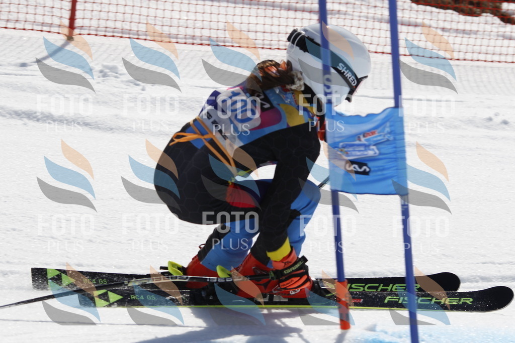 _U3G0325 | holidayphoto