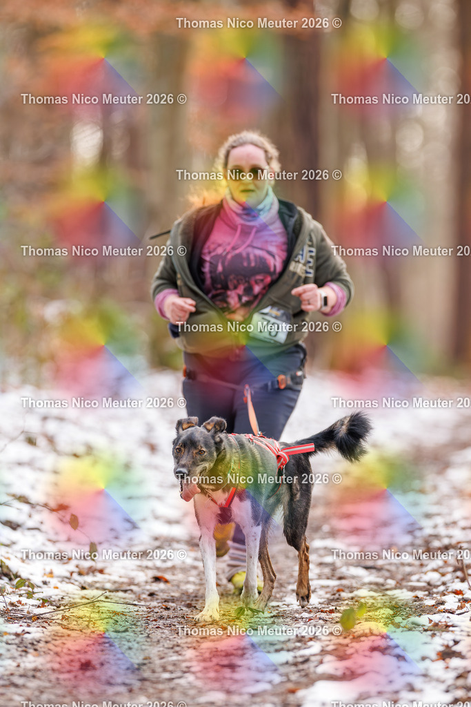 Thomas_Nico_Meuter(C)_223A9163 | Bild von Thomas Nico Meuter - Realisiert mit Pictrs.com