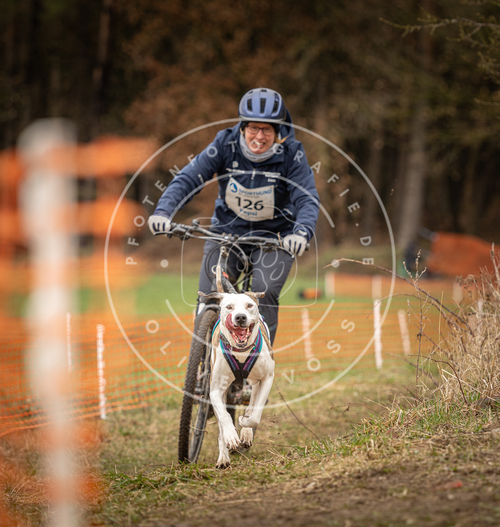 DV3A1669 | Hundefotografie, Tierfotograf, Pfotenfotografie, Fotoshooting Hund, Hunde Portrait, Hundesport, Hundeportraits, Heideshooting, Hunde, Sportfotograf, Hundefotograf, Turnierhundsport, THS,  - Realisiert mit Pictrs.com
