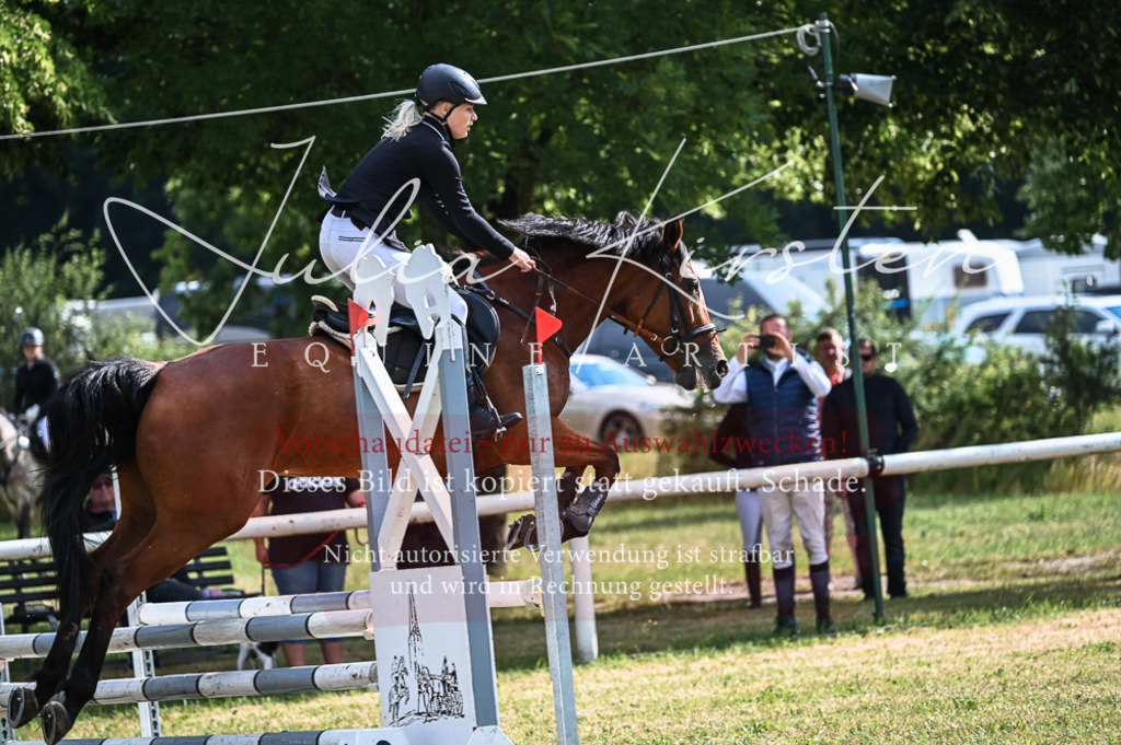 DSC_7803 | Pferde- und Turnierfotografie in Westsachsen. Pferdeportraits, Auftragszeichnungen und intuitive Kunst.