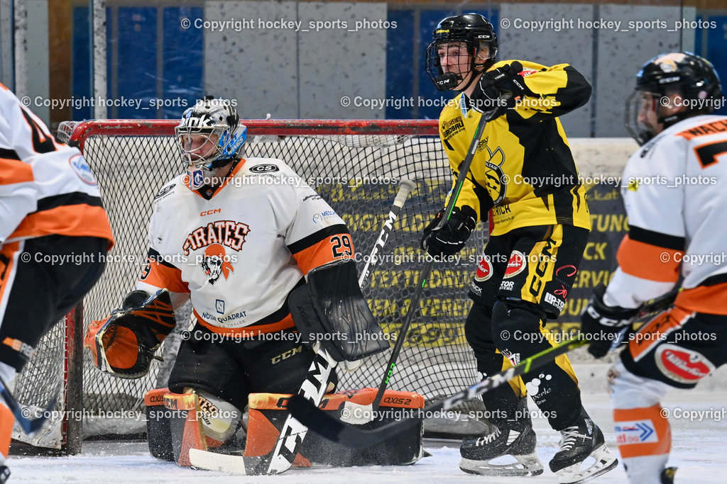 EC Hornets Spittal vs. USC Piraten Velden 18.2.2024 | #29 Stroi Thomas USC Velden, #14 Stele Florian EC Hornets Spittal, EC Hornets Spittal vs. USC Piraten Velden 18.2.2024, EC Hornets Spittal vs. USC Piraten Velden 18.2.2024 am 18.02.2024 in Spittal an der Drau (Eissportzentrum Spittal), Austria, (Photo by Bernd Stefan)