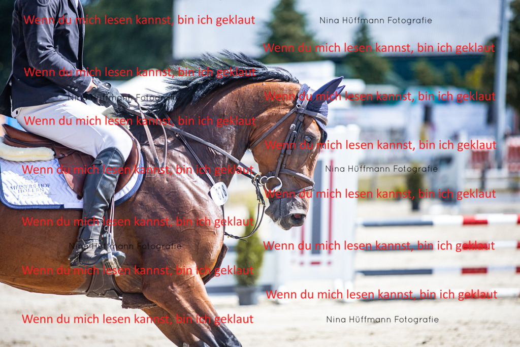 BK1A5166 | Turnierbilder Turnierfotos Nina Hüffmann Turnierfotografie Pferdefotografie Tierzeichnung Haustierzeichnung Pferdezeichnung Hundezeichnung Videograf  - Realisiert mit Pictrs.com