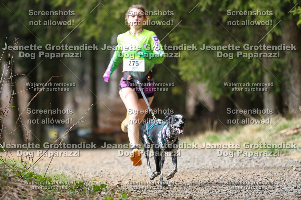 Dog Paparazzi - VCC26-406 | Dog Paparazzi Jeanette Grottendiek Fotografie & Videografie - Realisiert mit Pictrs.com