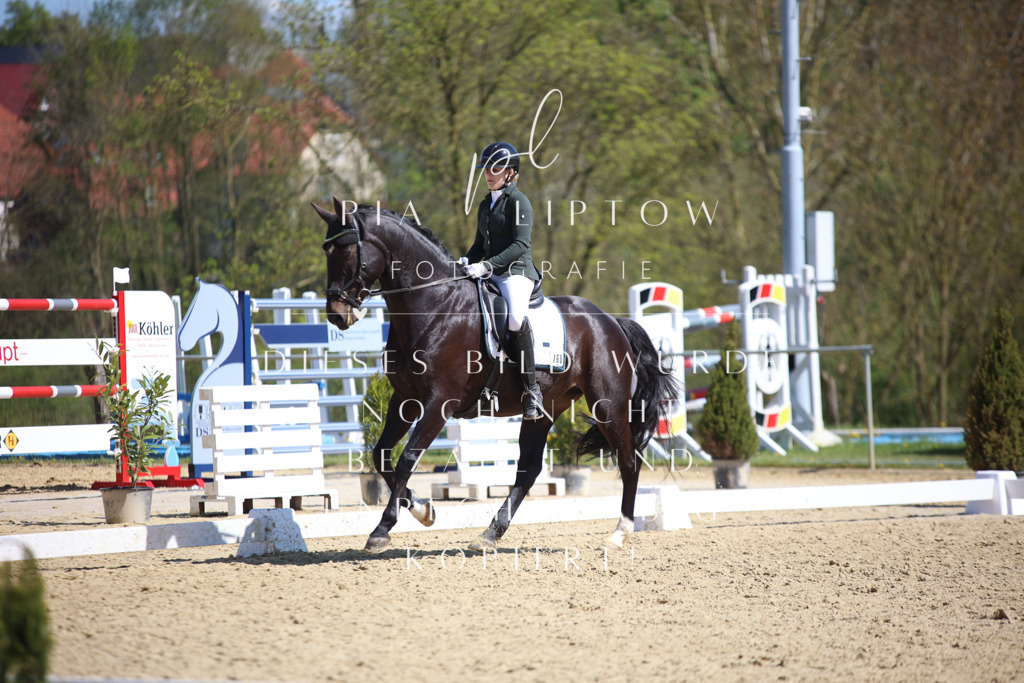 IMGT7757 | pl-fotografie